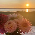 Amazing In With House Sea View * Ebeltoft