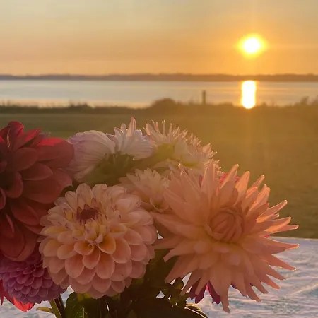 Amazing In With House Sea View * Ebeltoft